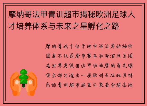 摩纳哥法甲青训超市揭秘欧洲足球人才培养体系与未来之星孵化之路 摩纳哥法甲青训超市揭秘欧洲足球人才培养体系与未来之星孵化之路